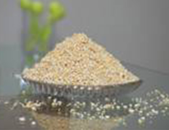 Maize Germ