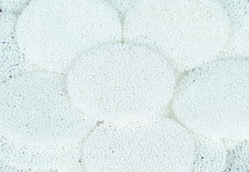 Native Tapioca Starch